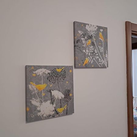 萨沃纳Nora House公寓 外观 照片